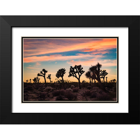 Audience for a Sunset Black Modern Wood Framed Art Print with Double Matting by Malone, Will