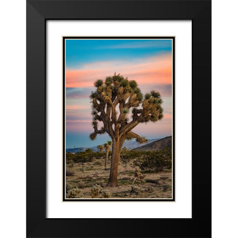 Cotton Candy Tree 2 Black Modern Wood Framed Art Print with Double Matting by Malone, Will