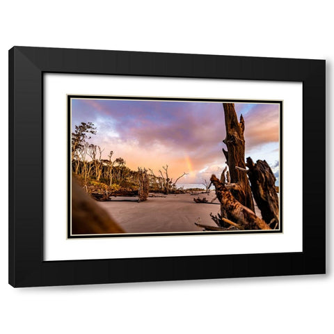 Amelia 1 Black Modern Wood Framed Art Print with Double Matting by Malone, Will
