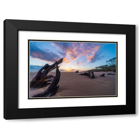 Amelia 3 Black Modern Wood Framed Art Print with Double Matting by Malone, Will