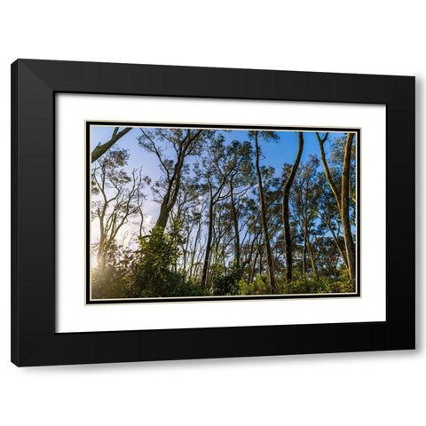 Awake Black Modern Wood Framed Art Print with Double Matting by Malone, Will
