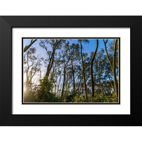 Awake Black Modern Wood Framed Art Print with Double Matting by Malone, Will