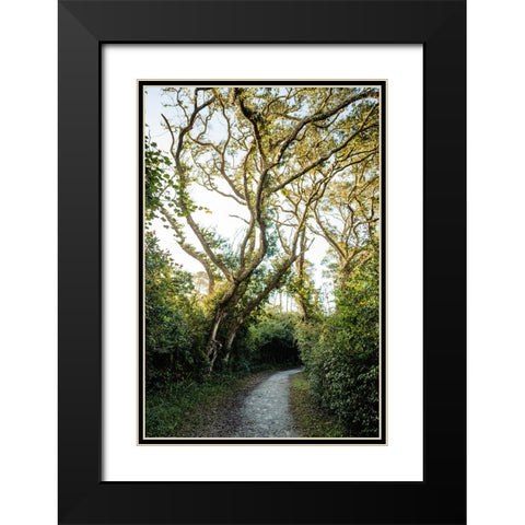 Pathway Black Modern Wood Framed Art Print with Double Matting by Malone, Will