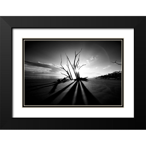 Shadow BW Black Modern Wood Framed Art Print with Double Matting by Malone, Will