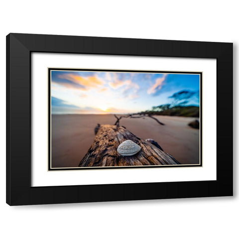 She Sells Seashells Black Modern Wood Framed Art Print with Double Matting by Malone, Will