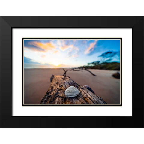 She Sells Seashells Black Modern Wood Framed Art Print with Double Matting by Malone, Will