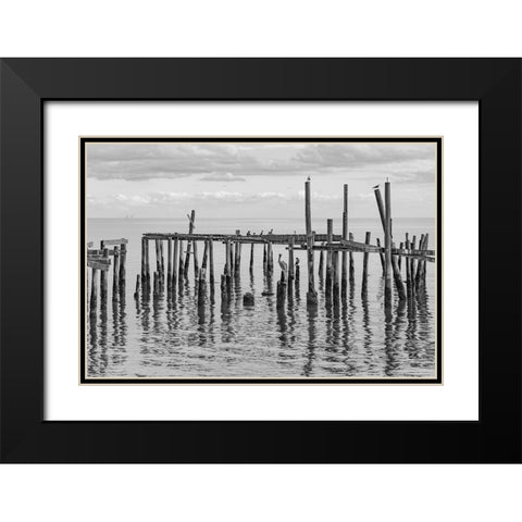 Jungle Gym Black Modern Wood Framed Art Print with Double Matting by Malone, Will