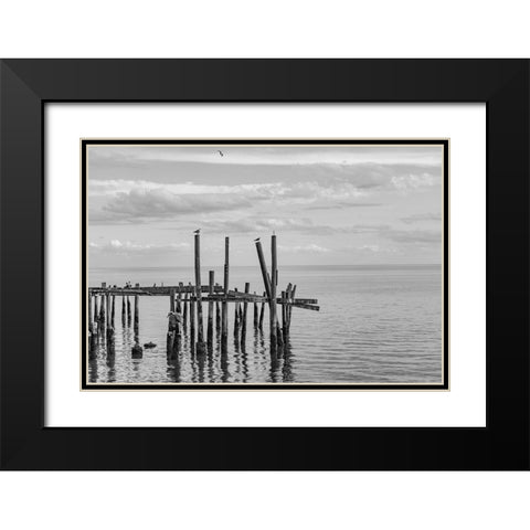 Jungle Gym 2 Black Modern Wood Framed Art Print with Double Matting by Malone, Will