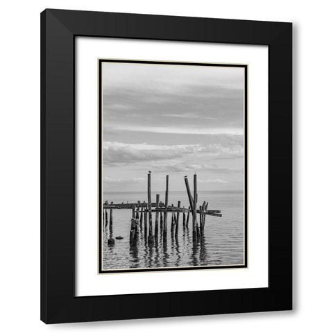 Jungle Gym Vertical Black Modern Wood Framed Art Print with Double Matting by Malone, Will