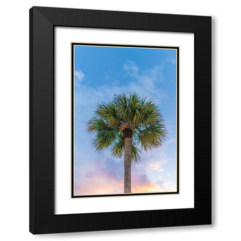 DeLand Sunset Black Modern Wood Framed Art Print with Double Matting by Malone, Will