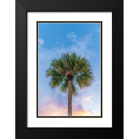 DeLand Sunset Black Modern Wood Framed Art Print with Double Matting by Malone, Will