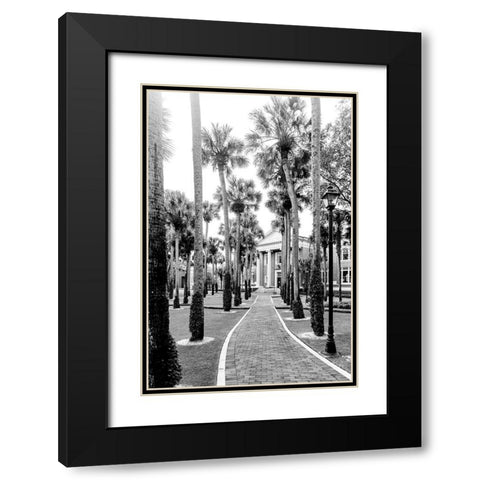 Morning Palms Black Modern Wood Framed Art Print with Double Matting by Malone, Will