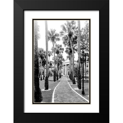 Morning Palms Black Modern Wood Framed Art Print with Double Matting by Malone, Will