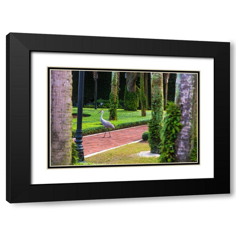 Bird About Town Black Modern Wood Framed Art Print with Double Matting by Malone, Will