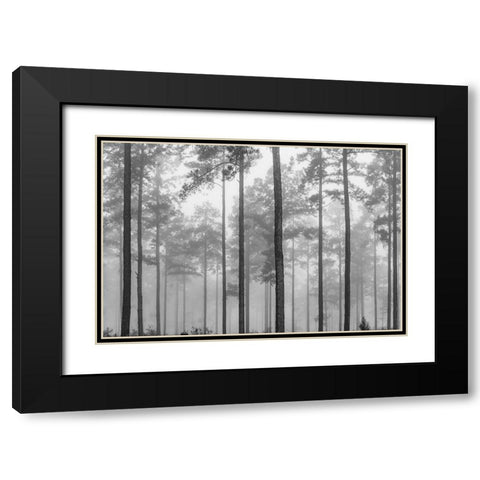 Fog Black Modern Wood Framed Art Print with Double Matting by Malone, Will