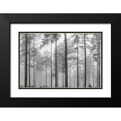 Fog Black Modern Wood Framed Art Print with Double Matting by Malone, Will
