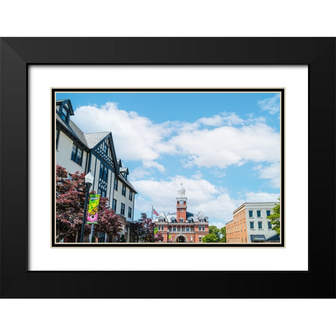 Elbert County Courthouse Black Modern Wood Framed Art Print with Double Matting by Malone, Will