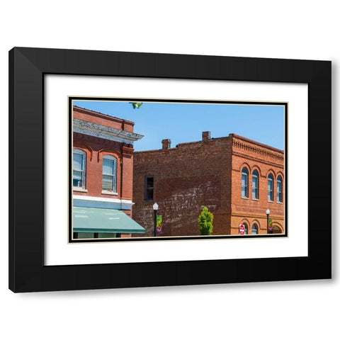 Spearmint Black Modern Wood Framed Art Print with Double Matting by Malone, Will