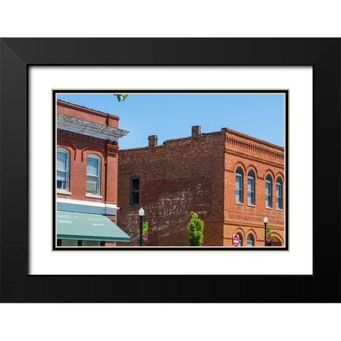 Spearmint Black Modern Wood Framed Art Print with Double Matting by Malone, Will