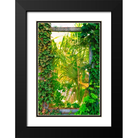 The Window Black Modern Wood Framed Art Print with Double Matting by Malone, Will