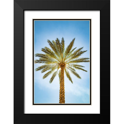 Glowing Palms Black Modern Wood Framed Art Print with Double Matting by Malone, Will