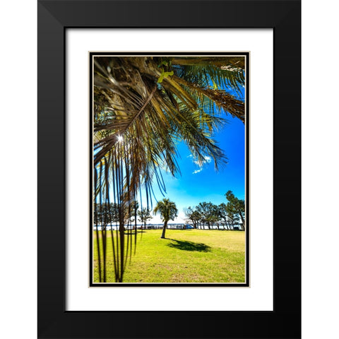 Palm Park Black Modern Wood Framed Art Print with Double Matting by Malone, Will