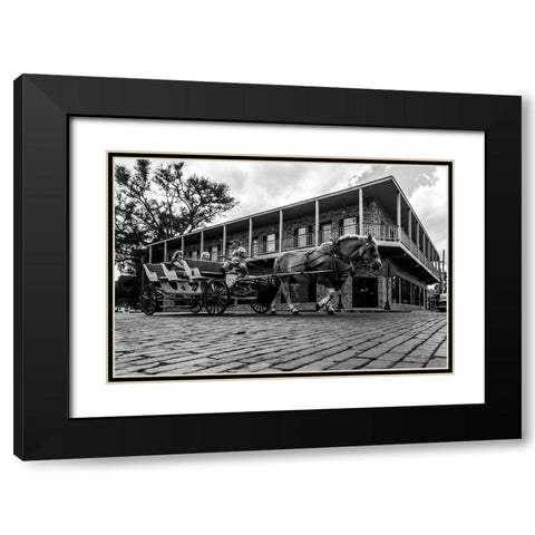 Horse Tour Black Modern Wood Framed Art Print with Double Matting by Malone, Will