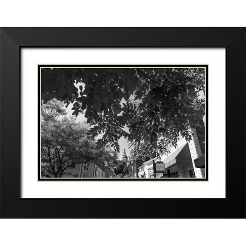 Maryland Capital Black Modern Wood Framed Art Print with Double Matting by Malone, Will