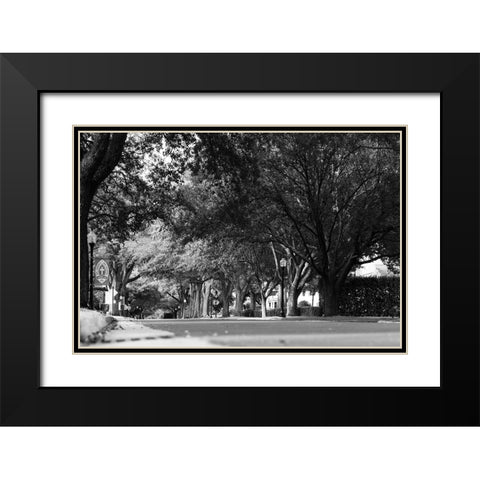 5th Ave Black Modern Wood Framed Art Print with Double Matting by Malone, Will