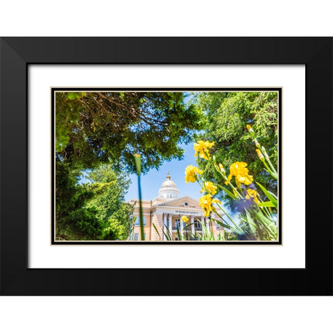 Henderson County Courthouse Black Modern Wood Framed Art Print with Double Matting by Malone, Will