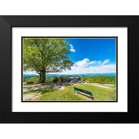 Laurel Park Black Modern Wood Framed Art Print with Double Matting by Malone, Will
