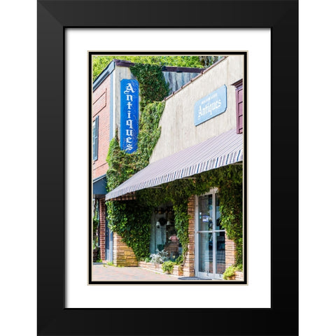 Mirror Lake Antiques Black Modern Wood Framed Art Print with Double Matting by Malone, Will