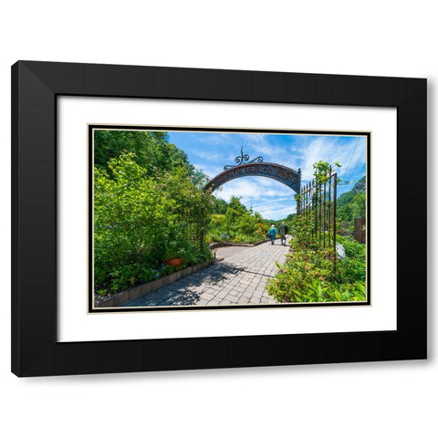Flowering Bridge Black Modern Wood Framed Art Print with Double Matting by Malone, Will