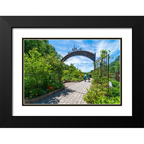 Flowering Bridge Black Modern Wood Framed Art Print with Double Matting by Malone, Will