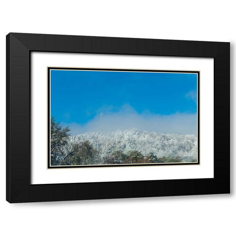 Snow Antenna Black Modern Wood Framed Art Print with Double Matting by Malone, Will