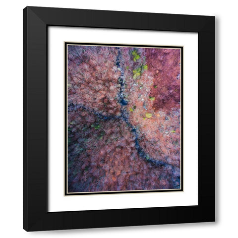 Signal Mountain Aerial  Black Modern Wood Framed Art Print with Double Matting by Malone, Will