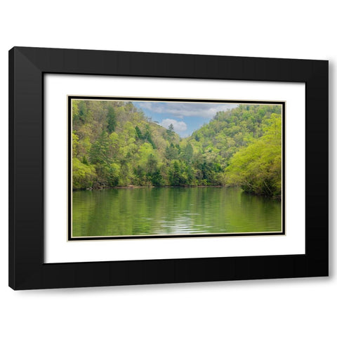 Ocoee Calm Black Modern Wood Framed Art Print with Double Matting by Malone, Will