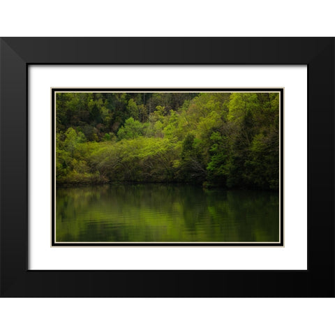 Ocoee Calm 2 Black Modern Wood Framed Art Print with Double Matting by Malone, Will
