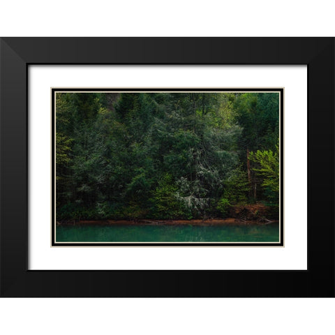 Ocoee Calm 3 Black Modern Wood Framed Art Print with Double Matting by Malone, Will