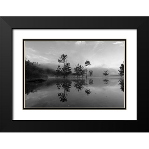 Ocoee Fog 4 Black Modern Wood Framed Art Print with Double Matting by Malone, Will