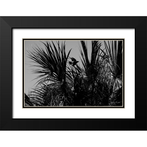 Bird of Palms Black Modern Wood Framed Art Print with Double Matting by Malone, Will