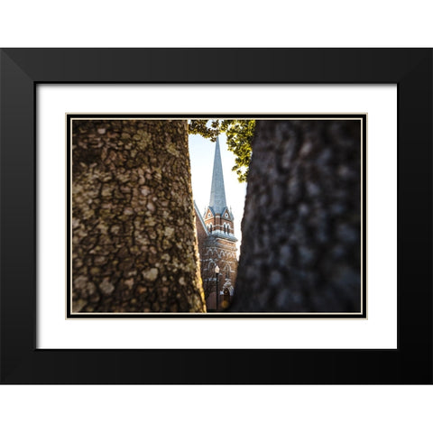 Through the Trees Black Modern Wood Framed Art Print with Double Matting by Malone, Will