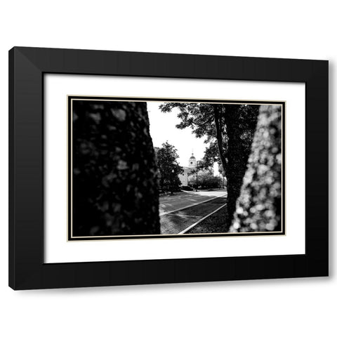 Through the Trees 2 Black Modern Wood Framed Art Print with Double Matting by Malone, Will
