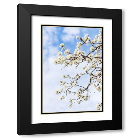 Welcome to Spring Black Modern Wood Framed Art Print with Double Matting by Malone, Will