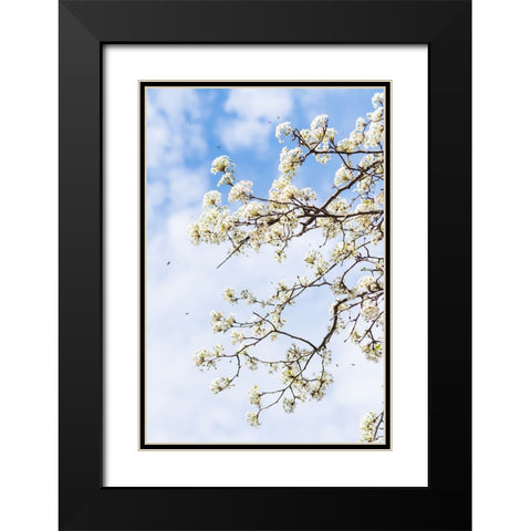 Welcome to Spring Black Modern Wood Framed Art Print with Double Matting by Malone, Will