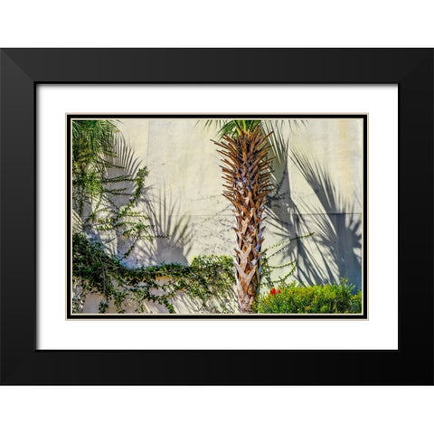 Shadows Black Modern Wood Framed Art Print with Double Matting by Malone, Will