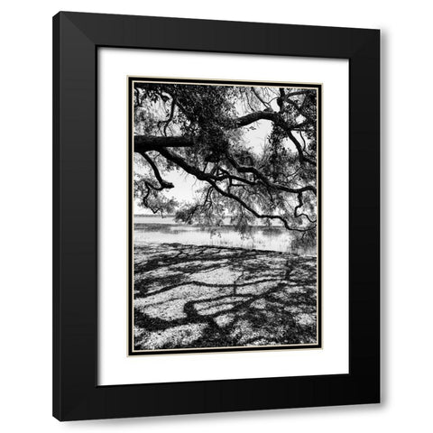 Shady Spot Black Modern Wood Framed Art Print with Double Matting by Malone, Will