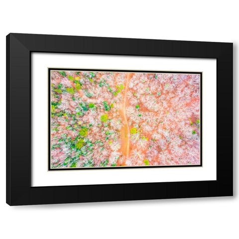 Dirt Road Black Modern Wood Framed Art Print with Double Matting by Malone, Will