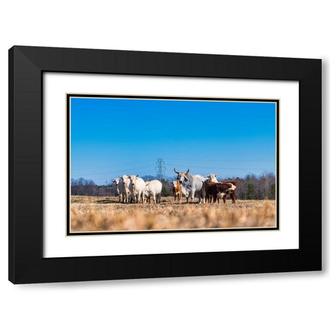 Drawing a Crowd Black Modern Wood Framed Art Print with Double Matting by Malone, Will