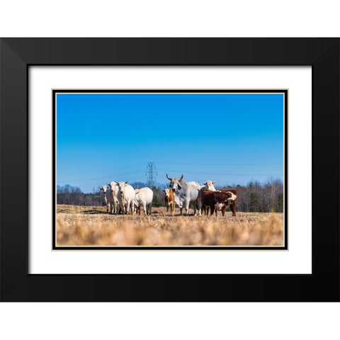 Drawing a Crowd Black Modern Wood Framed Art Print with Double Matting by Malone, Will